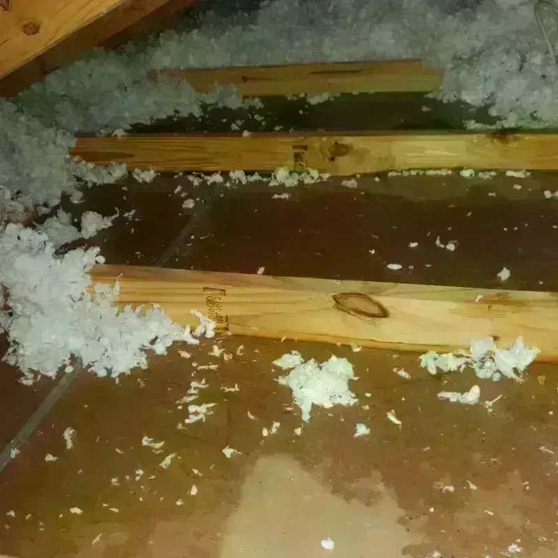 Attic Water Damage in Silverton, CO