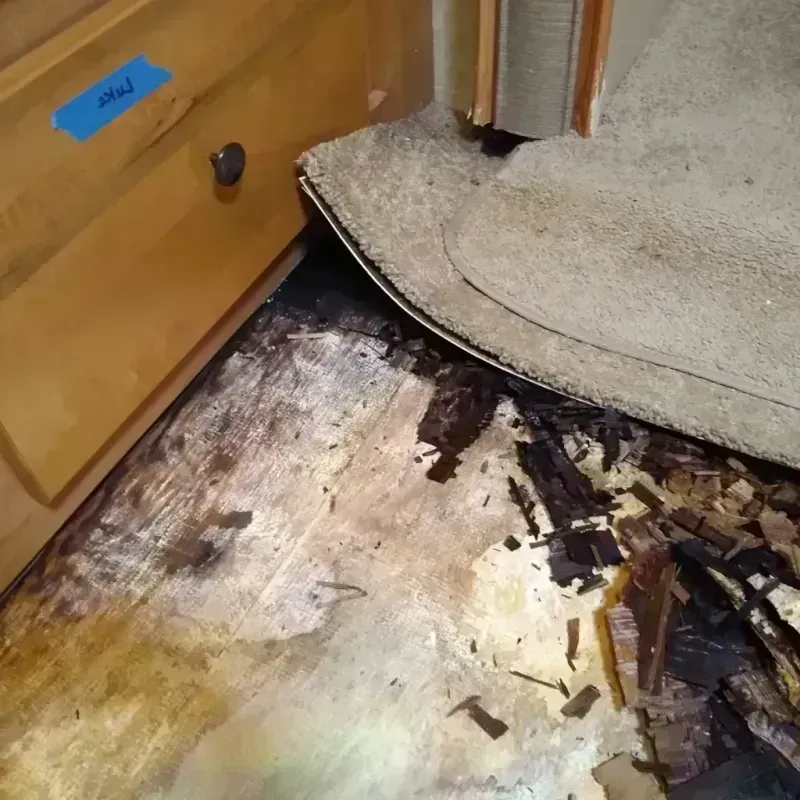 Wood Floor Water Damage in Silverton, CO